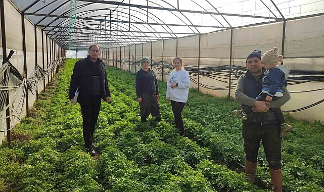 Simav'da seralarda kontrol ve örtü altı kayıt güncelleme işlemleri