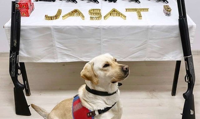 Söke'de kaçak silah operasyonu