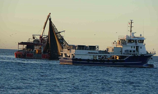 Trabzon'dan 1 Ocak'ta Gürcistan'a hamsi avına gidecekler
