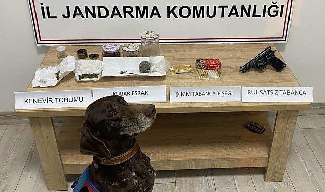 Uyuşturucu maddeyle yakalanan şahıs gözaltına alındı