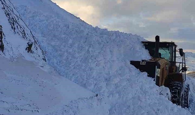Van'da iş makinesinin üzerine çığ düştü