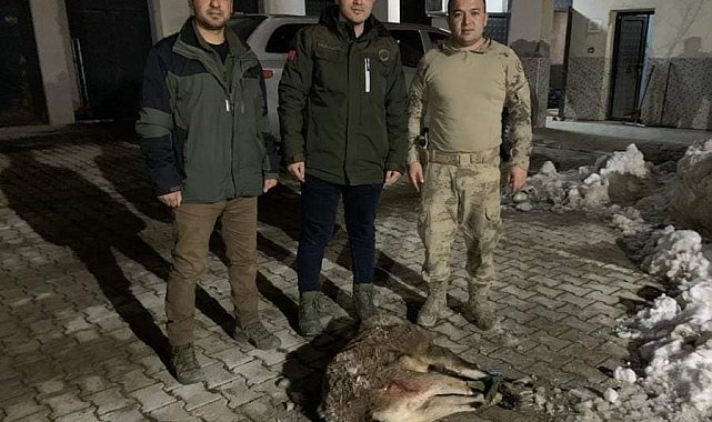 Van'da yaban keçisi avlayan 2 kişiye 314 bin 576 lira idari para cezası kesildi