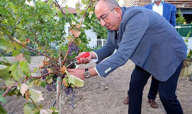 2023'ün en iyi rotası Meram Bağı
