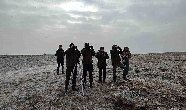 'Kış Ortası Su Kuşu Sayımı' gerçekleştirildi