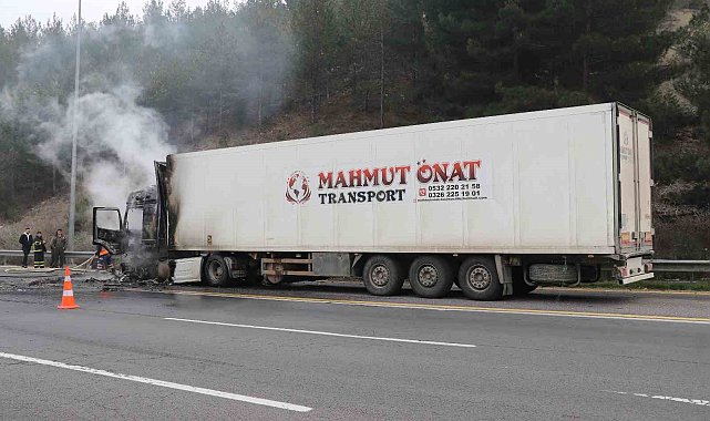 Adana'da otoyolunda mandalina yüklü tırda yangın