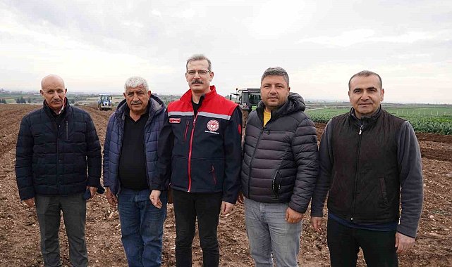 Adana'da turfanda patates toprakla buluştu