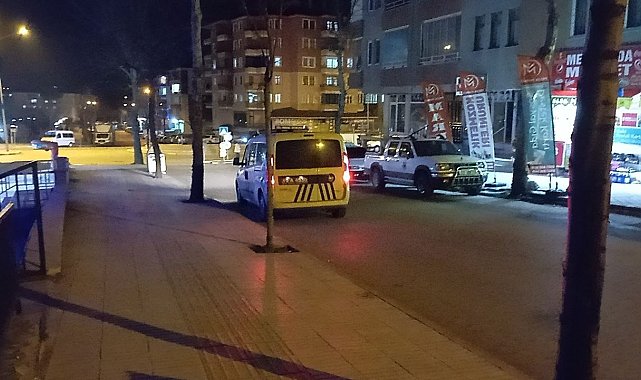 Ağabey ve kardeşin kavgası kanlı bitti