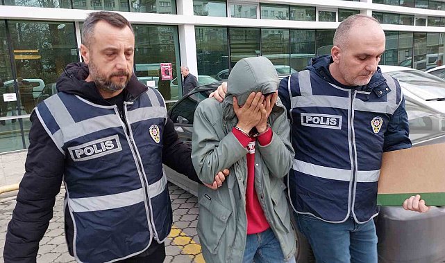 Ağaç kesimi sırasında ölüm olayı üzerinden 295 bin lira dolandırdılar