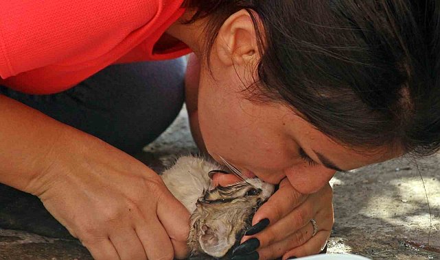 AGC'den İHA'ya 2 ödül