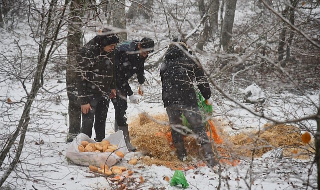 Amanos Dağları'nın karlı yolları, yiyecek bulmakta güçlük çeken hayvanlar için aşıldı