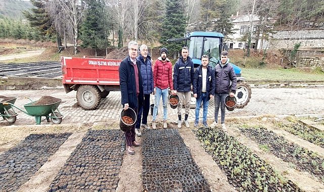 Amasya'da ormancılık faaliyetlerine 152 milyon TL'den fazla yatırım yapıldı
