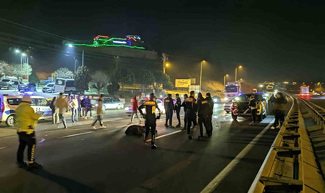 Aniden yola fırlayan başıboş inek ve buzağıya kamyonet çarptı