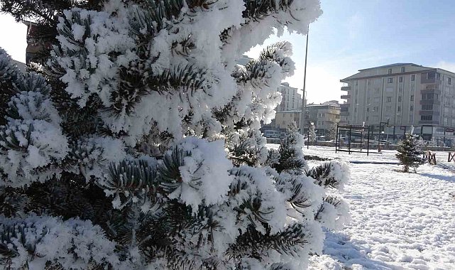 Ardahan'da dondurucu soğukları: Göle -29,8 derece