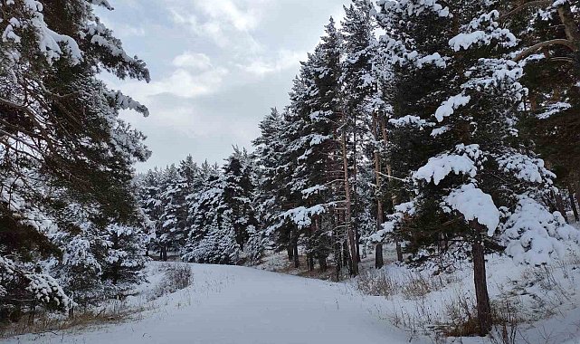 Ardahan'da kartpostallık görüntüler