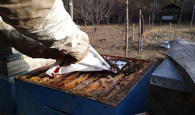 Arıcılar kara kışın ortasında arılara bakım ve yemleme yapıyor