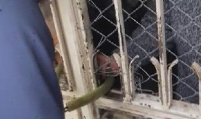 Asma kilidin anahtarın kaybeden yaşlı kadın evinde mahsur kaldı