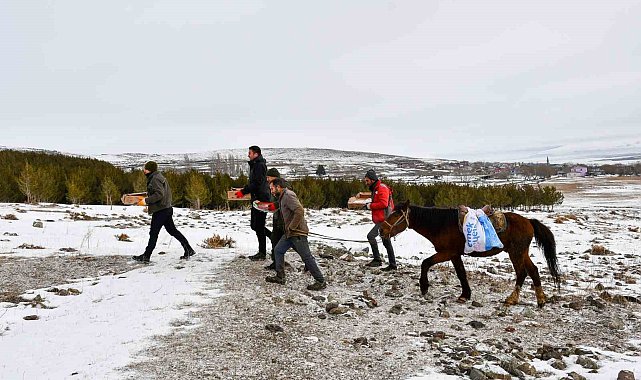 At sırtında yaban hayvanları için doğaya yem bırakıldı