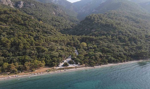 Aydın'da 1 yılda 20 bin gelir getirici fidan toprakla buluştu