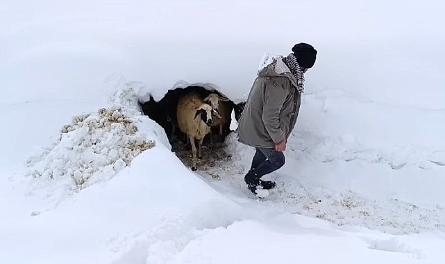 Bahçesaray'da kar etkili oluyor