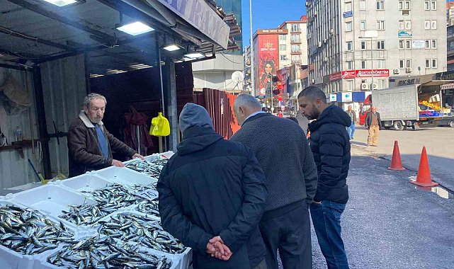 Balık tezgahlarında istavrit bolluğu yaşanıyor