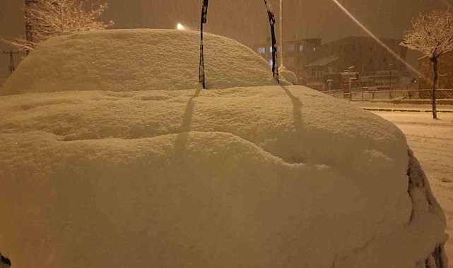 Başkale'de kar yağışı başladı