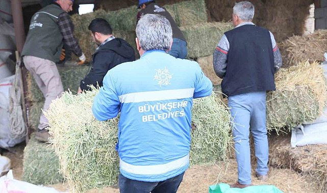 Başkan Çerçioğlu'ndan üreticiye yem ve yonca desteği