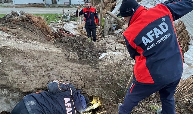 Batman'da ahır çöktü: 8 yavru köpekten 5'i kurtarıldı