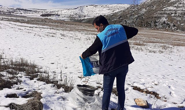 Battalgazi'de sokak hayvanlara yem bırakıldı
