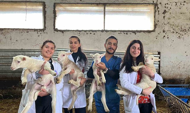 BAÜN Veteriner Fakültesi Öğrencileri, "Yetiştirme Çiftliğinde" pratik kazanıyor