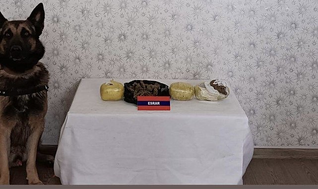 Bebek maması kutusundan uyuşturucu çıktı