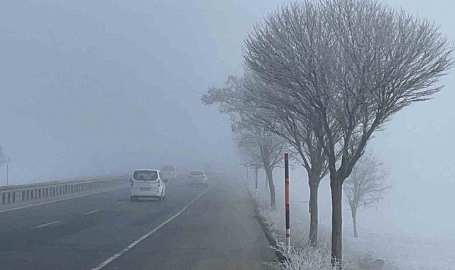 Bitlis'te ağaçlar kırağı tuttu
