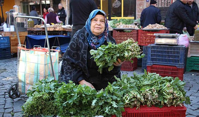 Bu otlar sadece Ege pazarında bulunuyor