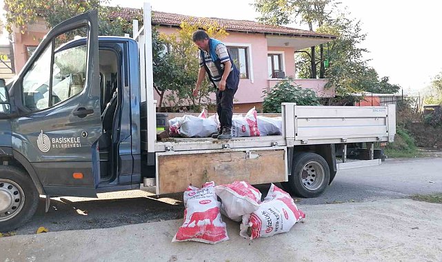 Budanan ağaçlar ihtiyaç sahiplerine yakacak oluyor