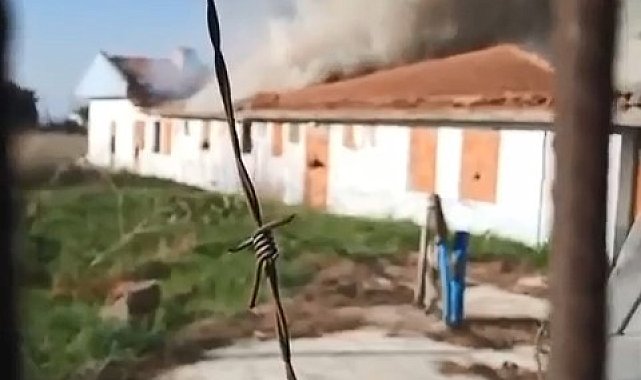Bursa'da ahır alev alev yandı