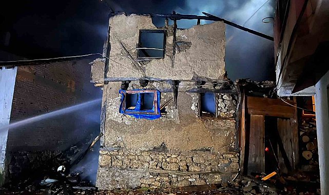 Bursa'da ahırda çıkan yangında 10 büyükbaş hayvan telef oldu