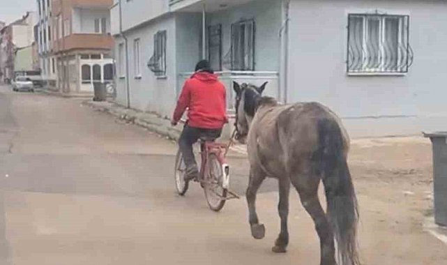 Bursa'da atı bisikletine bağlayarak götürdü
