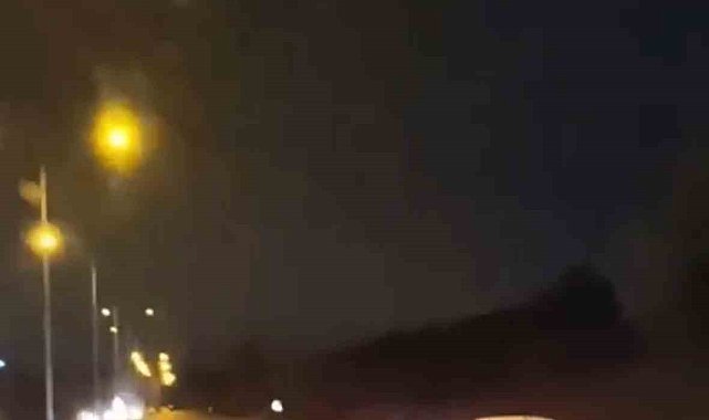 Bursa'da domuz sürüsü ana yola atladı