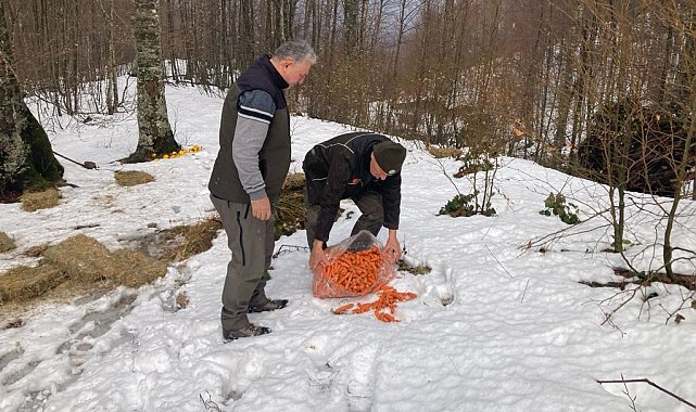 Bursa'da yaban hayvanlarına yem desteği