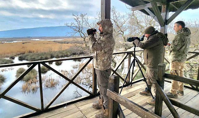 Bursa'daki su kuşları tek tek sayıldı