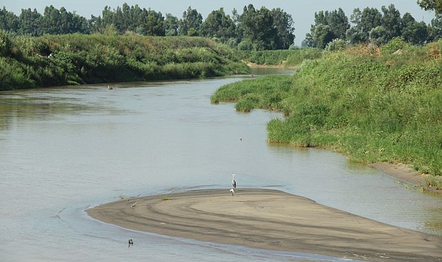 Büyük Menderes'e doğa severlerden yüzer bariyer talebi