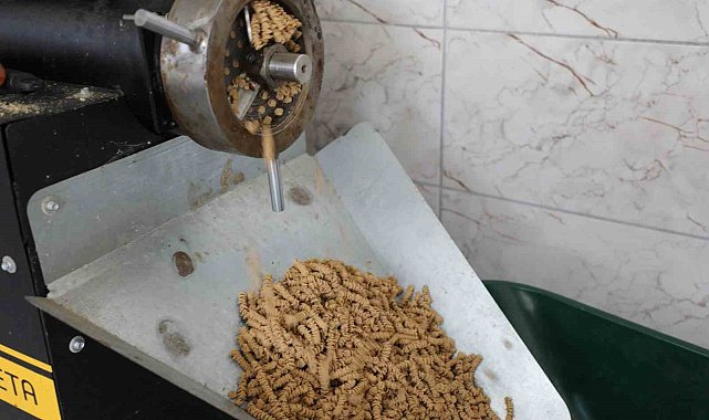 Büyükşehir can dostlar için mama üretiyor