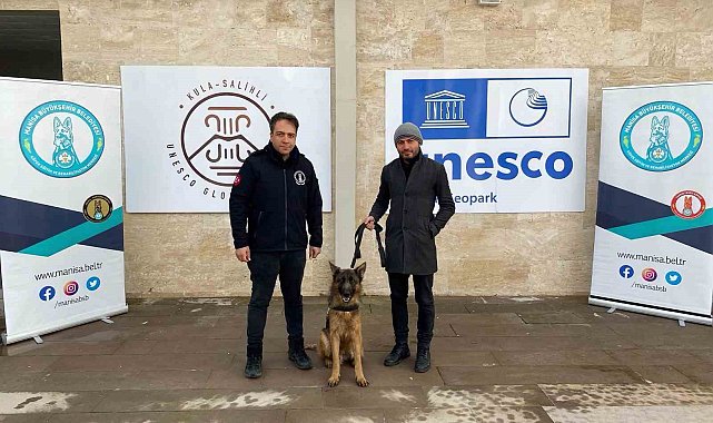 Büyükşehirin projesiyle sokak hayvanları yuva buluyor