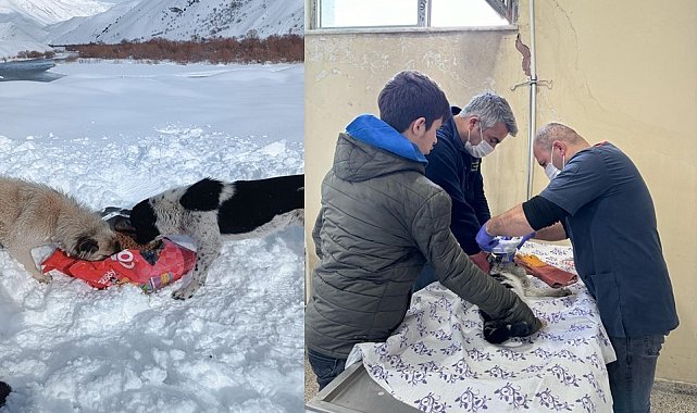 Can dostlar için 15 mahalleye yiyecek bırakıldı