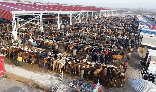 Çorum'da hayvan pazarı geçici olarak kapatıldı