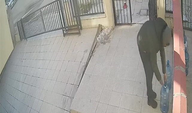 Damacana üzerinde duran su parasına göz dikti