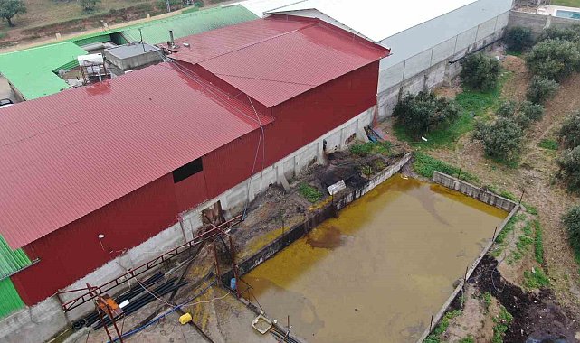 Depodan sızan tonlarca zeytinyağı araziye yayıldı
