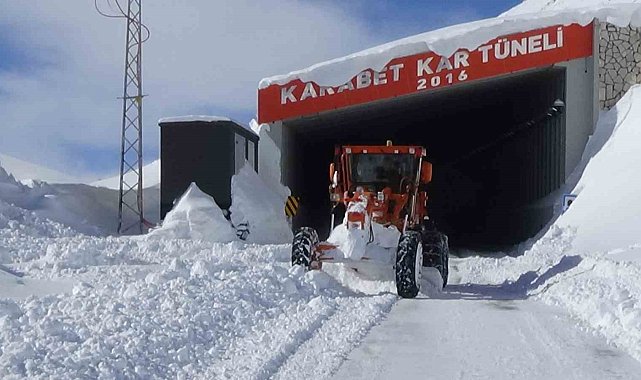 Dicle Nehri'nin çatısını oluşturan Bahçesaray ve Çatak çaylarındaki su seviyesi düştü