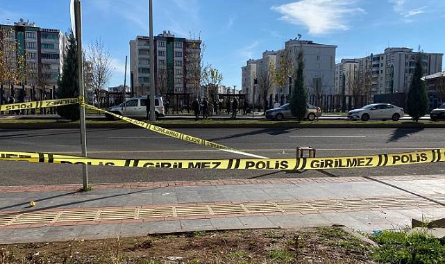 Diyarbakır'da parkta başlayan tartışma kanlı bitti: 2 kişi silahla yaralandı