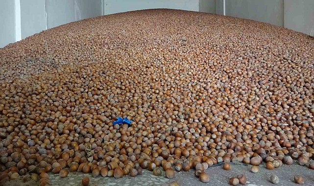 Doğu Karadeniz Bölgesi'nde en fazla ihracat 1 milyar 20 milyon 460 bin 974 dolar ile fındık mamullerinde oldu