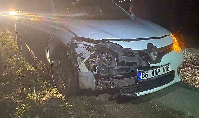 Domuz sürüsüne çarptı, maddi hasar oluştu